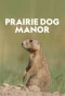 Poster for Prairie Dog Manor