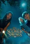 Poster for Secrets of Sulphur Springs
