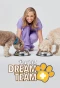 Poster for Pet Vet Dream Team