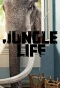 Poster for Jungle Life