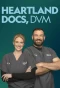 Poster for Heartland Docs, DVM