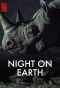 Poster for Night on Earth