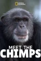 Poster for Meet the Chimps