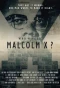 Poster for Who Killed Malcolm X?