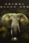 Poster for Animal Black Ops
