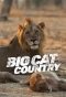 Poster for Big Cat Country