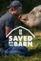 Poster for Saved by the Barn