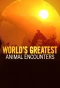 Poster for World's Greatest Animal Encounters