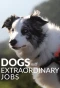 Poster for Dogs with Extraordinary Jobs