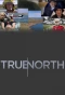 Poster for True North