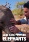 Poster for Walking with Elephants
