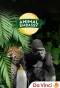 Poster for Animal Embassy