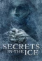 Poster for Secrets in the Ice