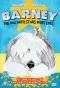 Poster for Barney
