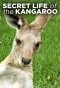 Poster for Secret Life of the Kangaroo