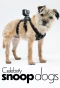 Poster for Celebrity Snoop Dogs