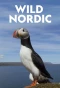 Poster for Wild Nordic