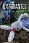Poster for Caminantes