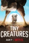 Poster for Tiny Creatures