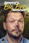 Poster for Jimmy's Big Bee Rescue