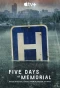 Poster for Five Days at Memorial