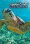 Poster for Mindful Escapes: Breathe, Release, Restore
