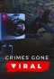 Poster for Crimes Gone Viral
