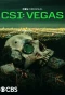 Poster for CSI: Vegas
