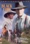 Poster for Black Fox