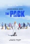 Poster for The Pack