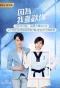 Poster for Falling Into You