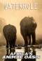 Poster for Waterhole: Africa's Animal Oasis