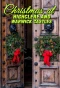 Poster for Christmas at...
