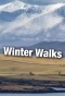 Poster for Winter Walks