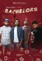 Poster for TVF Bachelors