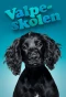 Poster for Valpeskolen