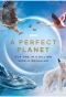 Poster for A Perfect Planet