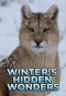 Poster for Winter's Hidden Wonders
