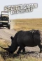 Poster for Secret Safari: Into the Wild