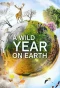 Poster for A Wild Year on Earth