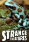 Poster for Strange Creatures