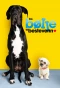 Poster for Fra bølle til bestevenn