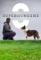 Poster for Superhundene