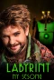Poster for Labyrint