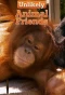 Poster for Unlikely Animal Friends