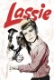 Poster for Lassie