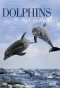 Poster for Dolphins: Spy in the Pod