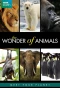Poster for The Wonder of Animals