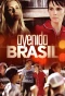 Poster for Avenida Brasil