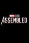 Poster for Marvel Studios: Assembled